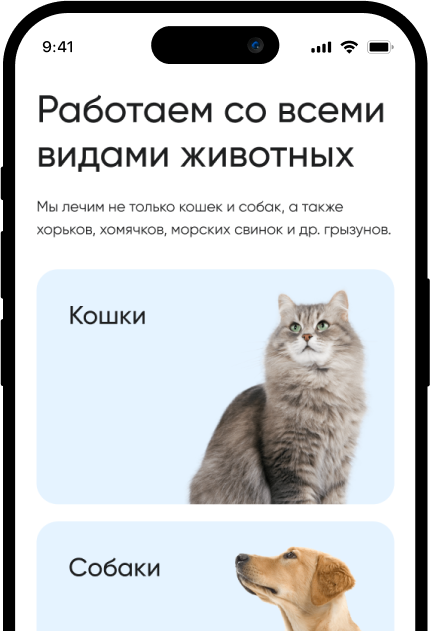Адаптивная версия сайта АйбиВет