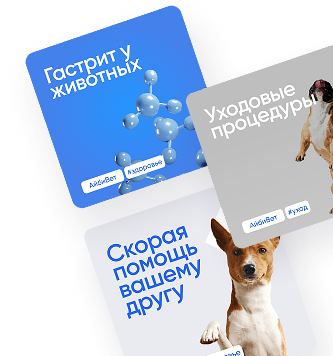 Поставленная задача АйбиВет
